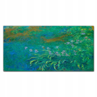 Foto-skla fotografia pre obývaciu izbu Irises Coins 140x70 cm
