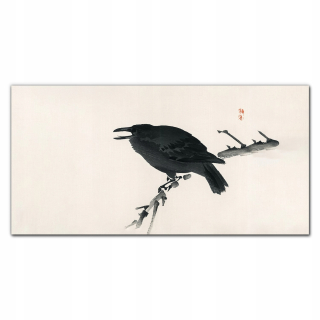 Foto-skla fotografia na stene vtáka Crow 140x70 cm