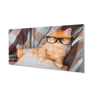 Foto -on Wall Canvas Reading Cat 120x60 cm