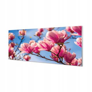 Foto-obrazové akrylové sklenené kvety strom 125x50 cm
