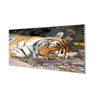 Foto -obrázok temperované sklo ležiace tiger 120x60 cm