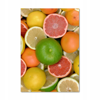 Fotografie na sklenení vertikálne citrusové ovocie 70x100