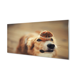 Foto-fotka akrylového skla pre psov košíček 140x70 cm