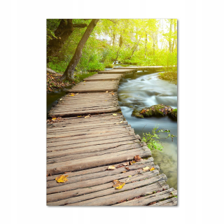 Fotografový obrázok akrylová sklenená cesta v lese 70x100 cm