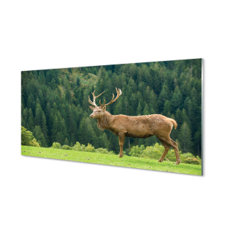 Foto-obrazové akrylové sklo jeleň v poli 140x70 cm