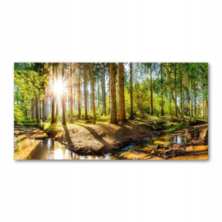 Fotografový obrázok temperované sklo Panorama Forest 140x70