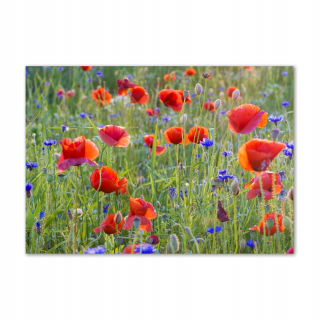 Foto -obrázok Temperované sklenené pole kvety 100x70