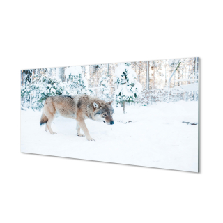 Foto-obrazové akrylové sklo vlk zimný les 140x70 cm