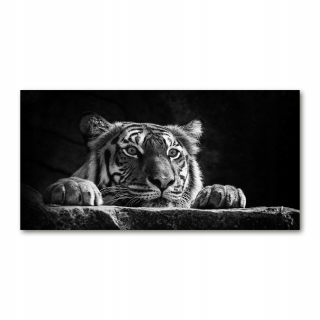 Foto-fotka fotografie temperované sklo tiger 140x70