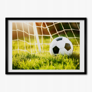 Fotografický obrázok pre stenu gule v góle 70x50