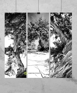 Foto -Tank Photo -triptych 3x 30x90cm Triptych