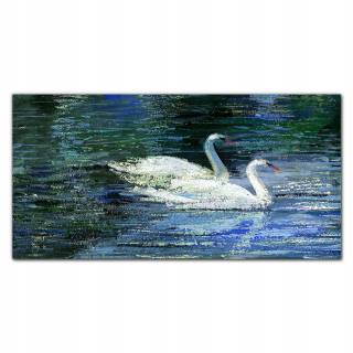Foto -camera akryl 120x60 Lake Birds Swans Water