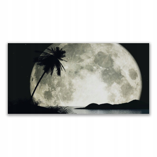 Foto -camera akryl 140x70 Night Moon Palma Krajina