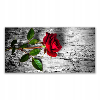Foto -camera akryl 140x70 Rose Flower Plant Príroda