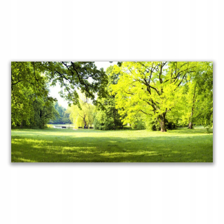 Foto -camera akryl 140x70 Grass Tree Park Nature
