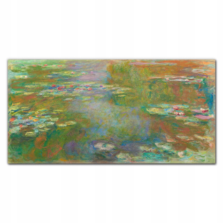 Foto -camera akryl 120x60 Water Lilie Coins