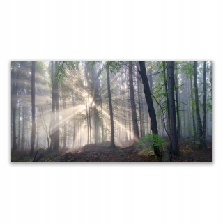 Foto -Wall Wall akryl 140x70 Forest Natura Tree