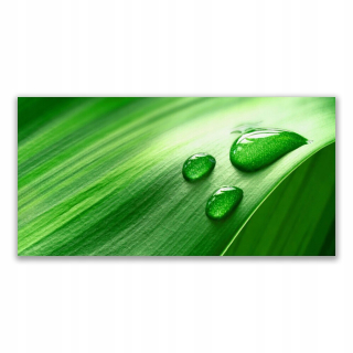 Fotoobraz akrylová stena 140x70 cm Leaf Water Drops