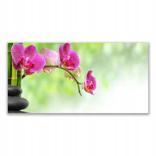 Foto -creen visiaci akryl 140x70 Flower Nature Bamboo