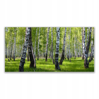 Foto -skrutka zavesenie akrylu 140x70 lesné stromy príroda