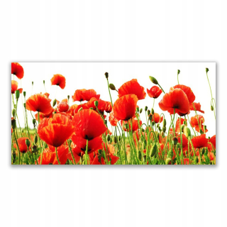 Foto -skrutkovacia fotografia zavesenie akrylu 140x70 maki rastlina príroda