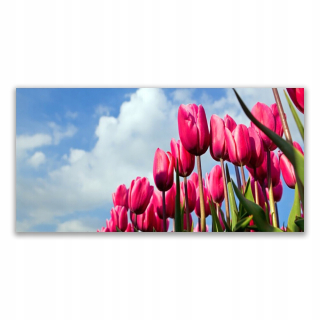 Foto -skrutka zavesenie akrylu 140x70 Tulip na stene