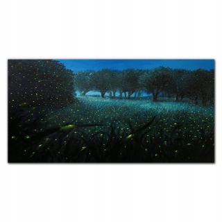 Foto -skrutka akrylu s grafikou 120x60 Forest Night Svetly