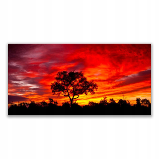 Foto -Screen 140x70 Forest Landscape Natura