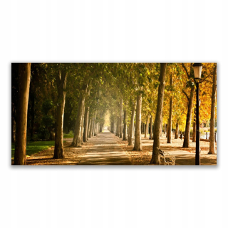 Foto -Screen 140x70 Park Alley Krajina