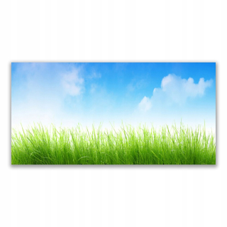 Foto -flap 140x70 Grass Nature Plant
