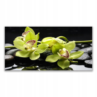 Foto -Wall for Wall 140x70 kvetinová rastlina orchideí