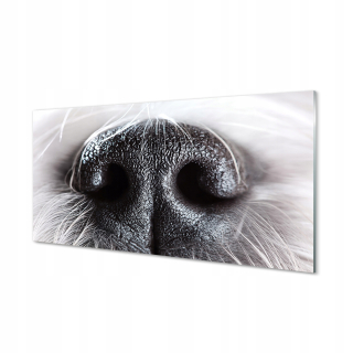 Moderný závesný obrázok na plátne nosa psa 120x60