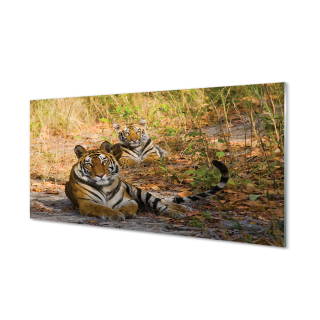 Obrázok na stenu fotografie pre spálne tigre 120x60 cm