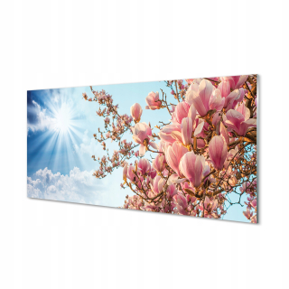 Obrázok akrylové sklo Magnolia Sky Sun 140x70