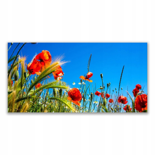 Foto obrázok moderné 140x70 kvety maku pole trávy