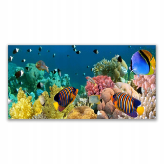 Moderná fotografia -Film 140x70 Coral Reef Príroda