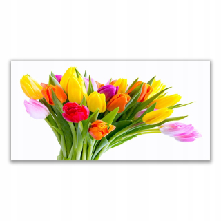 Stena foto box 140x70 tulips kvety rastlina