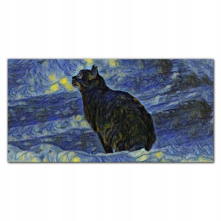 Stena s grafikou 120x60 Cat Night Stars