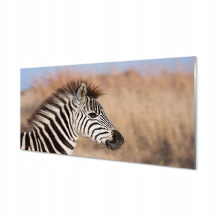 Obrázok moderného skla pre salón Zebra 120x60 cm
