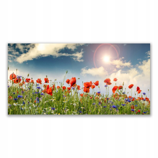 Foto -Hanging Photo 140x70 Meadow Flowers Sun Nature