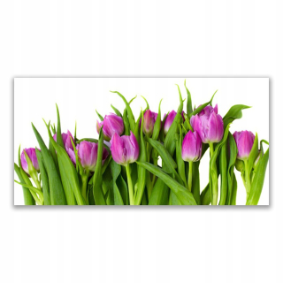 Foto -Hanging Photo 140x70 Tulips Flowers Rastle