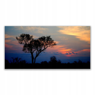 Foto -hanging fotografia s výtlačkom stromu 140x70 Natura