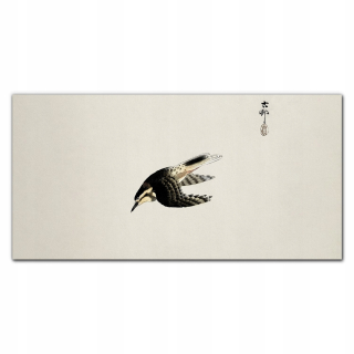 Foto -grafik s stenou grafiky 120x60 Animal Bird