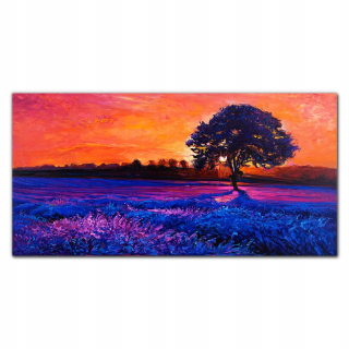 Foto -Print s 120 x 60 kvetmi západ slnka