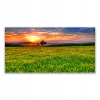 Foto -podobná s 140x70 Print Meadow Sun Nature