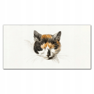Foto -tlač s nástennou tlačou 120x60 Animal Cat