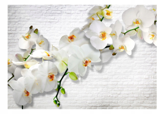 Nástenná maľba - mestská orchidea 350x245