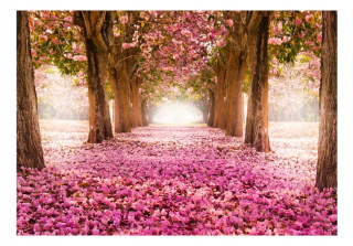 Nástenná maľba - Pink Gaj 350x245