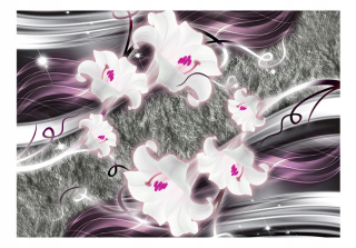 Nástenná maľba - tanec Enchanted Lily 350x245