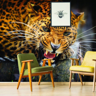Samostatne nástenné nástenné maľby Jaguar Winyl 584x335